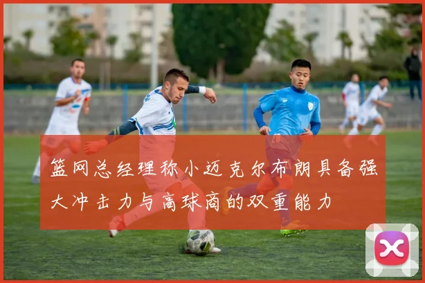 篮网总经理称小迈克尔布朗具备强大冲击力与高球商的双重能力