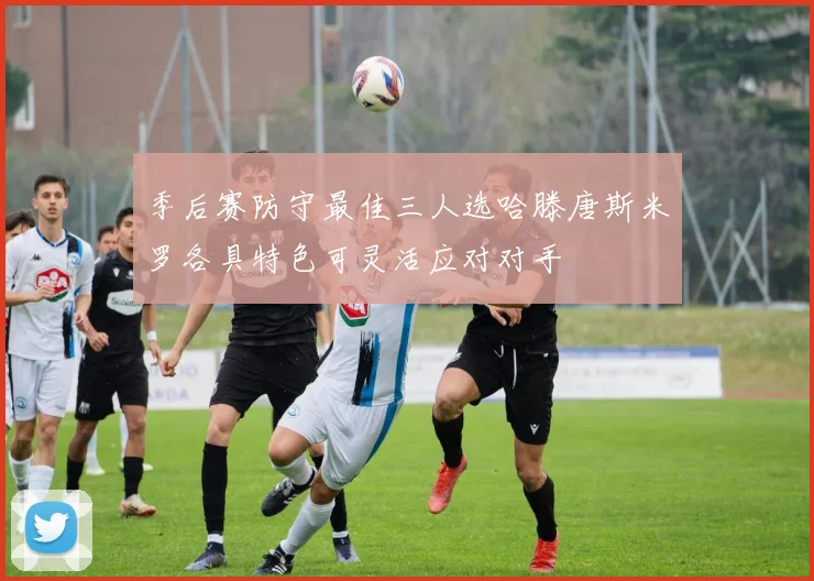 季后赛防守最佳三人选哈滕唐斯米罗各具特色可灵活应对对手